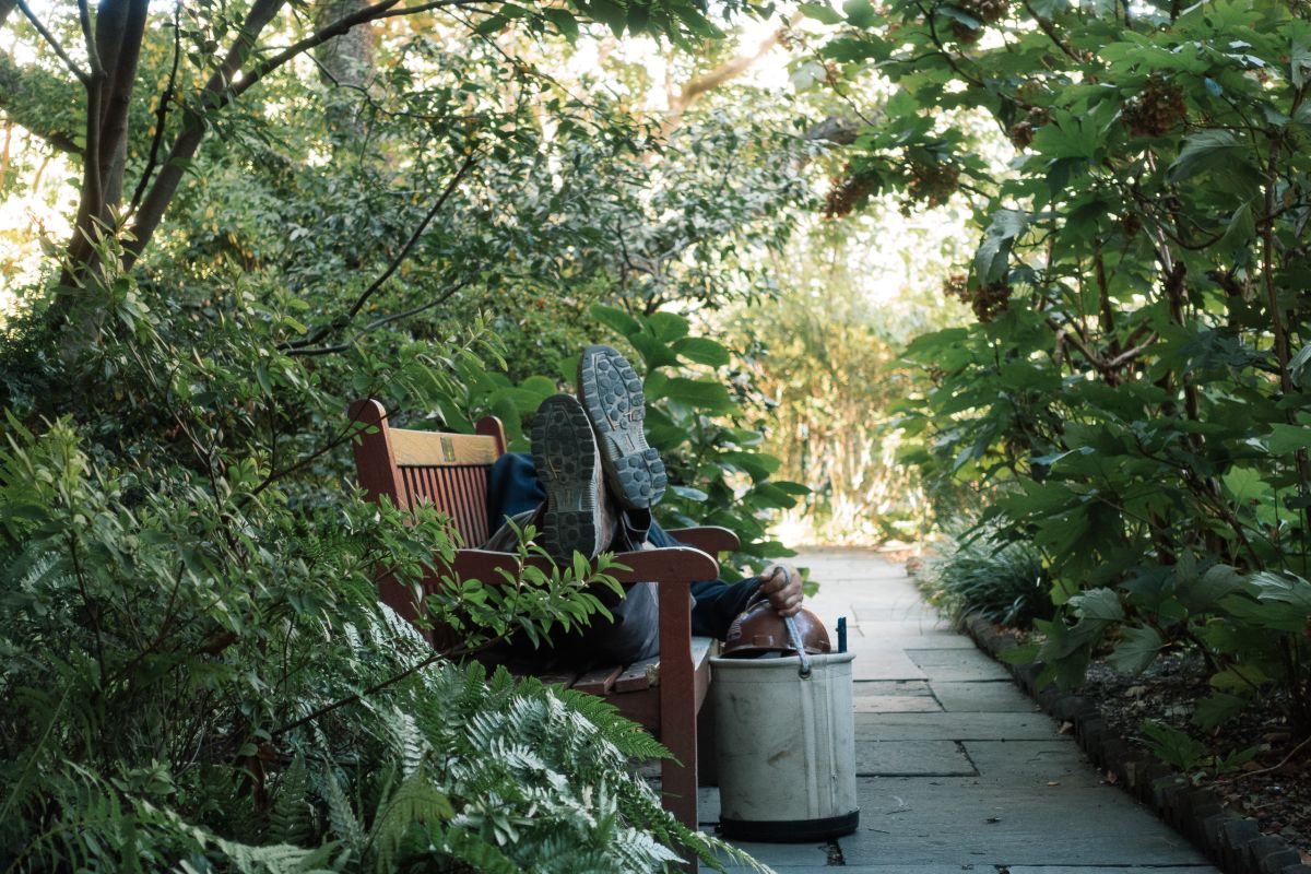 Sleeper in the Garden