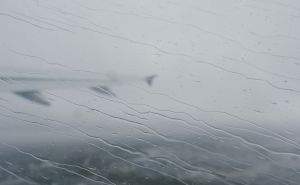 Take off in slop.
