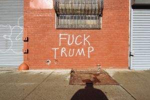 Fuck Trum on Brick Wall