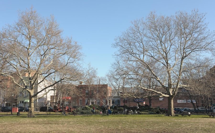 trees mccarren park wood chipper christmas