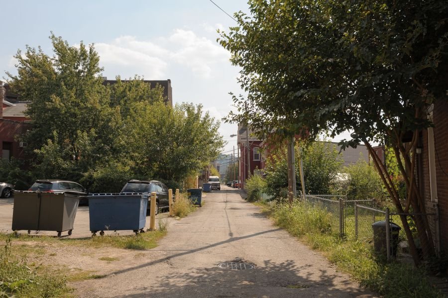 urban alleyway trees