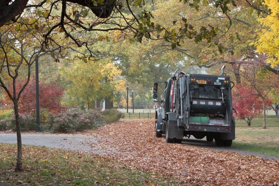fall in mccarren park williamsburg