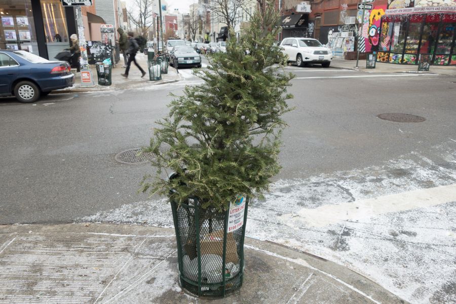 Christmas tree in public garbage can