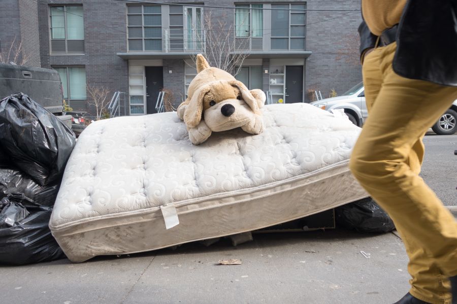 stuffed dog on trash heap mattress
