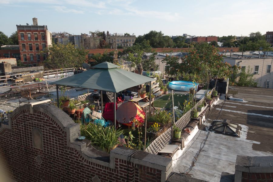 bedstuy rooftop