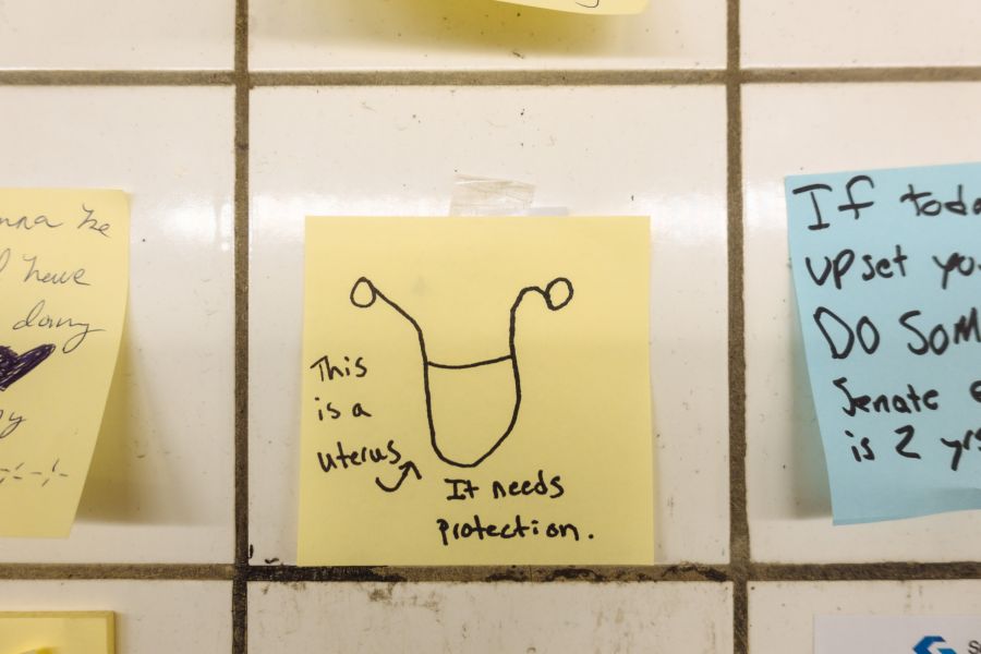 "This is a uterus. It needs protection"