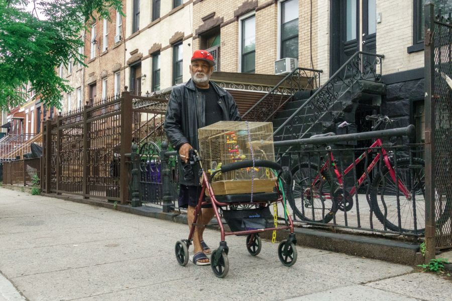 Man walking with parakeet in cage on walker